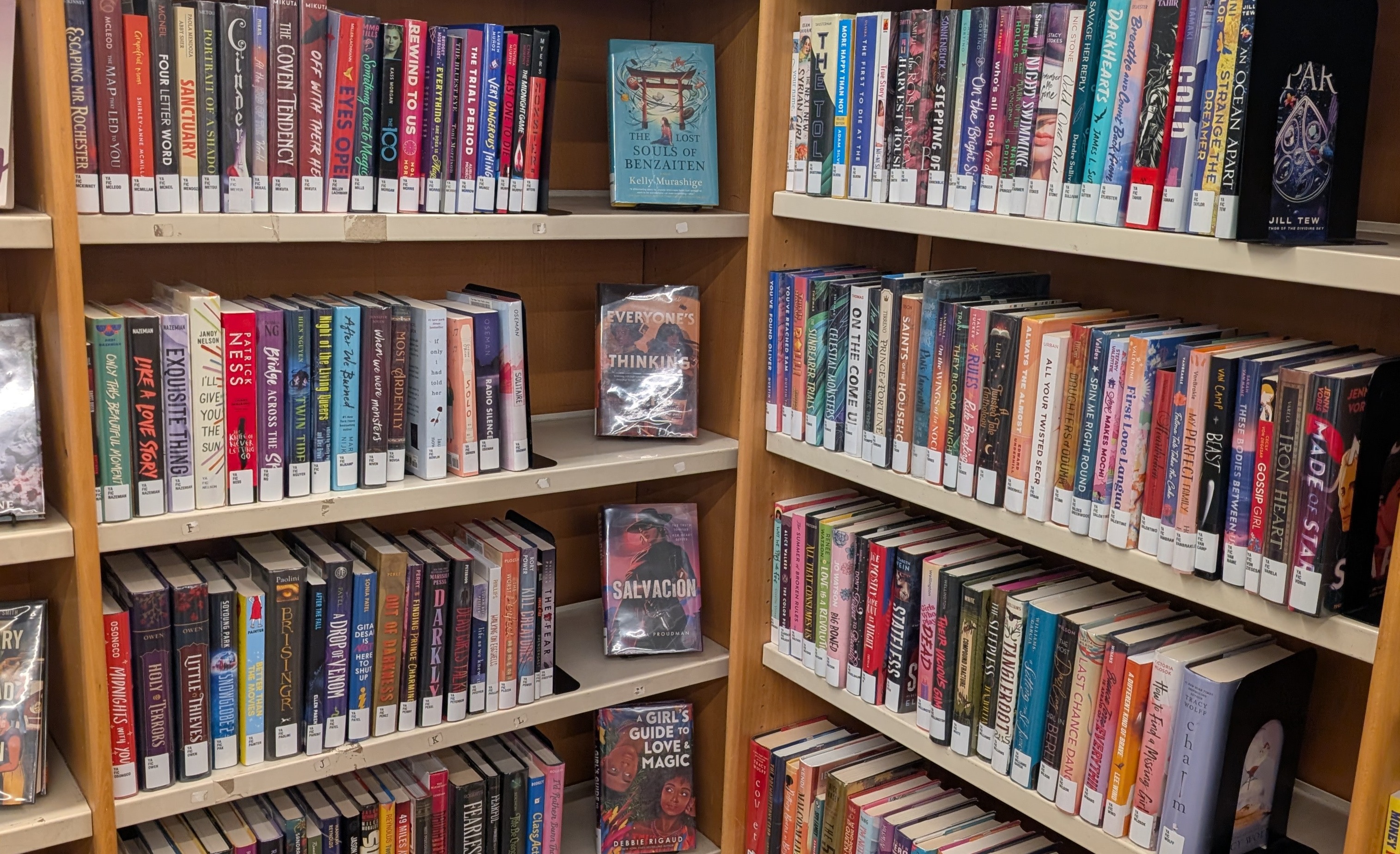 Library bookshelf